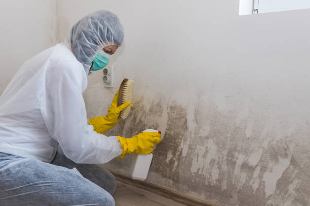 Best Post-Remediation Services in Deshler, OH